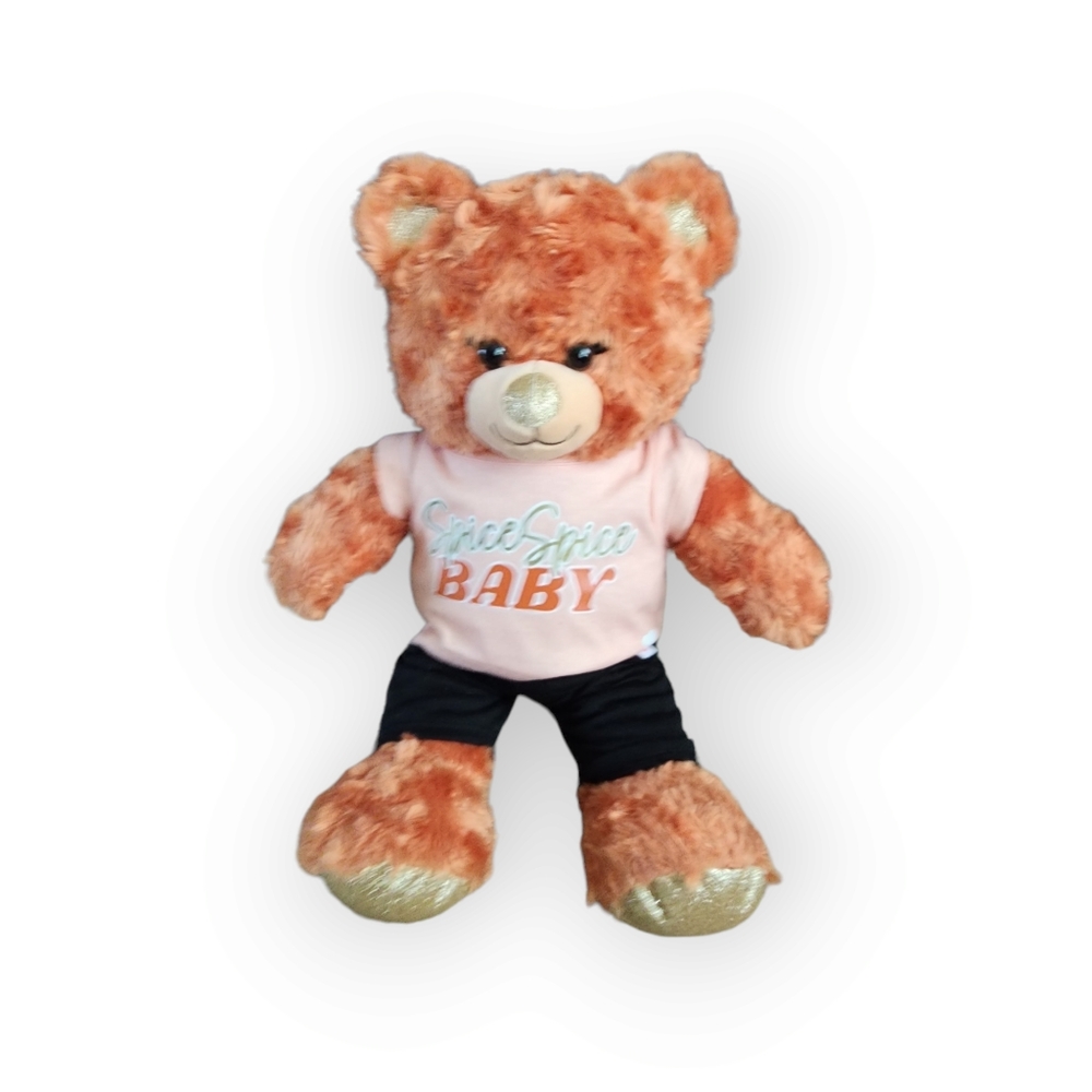 Build a‎ bear pumpkin spice